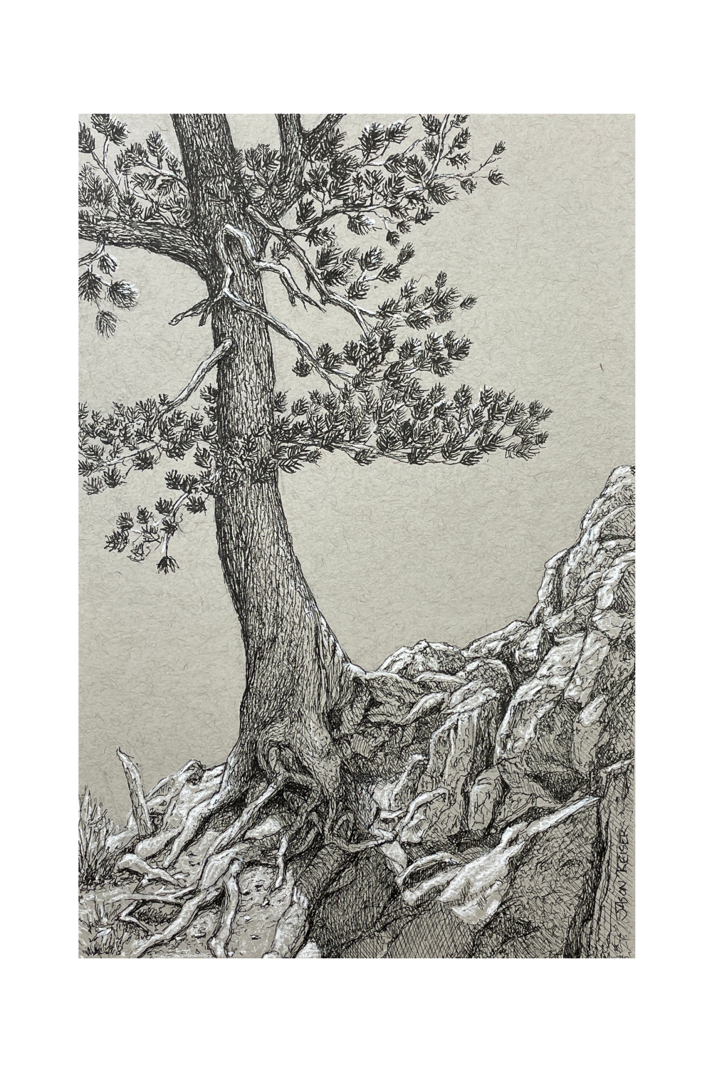 Tree-Logy Drawing | Ink Drawing on Toned Paper | Jason Keiser Art
